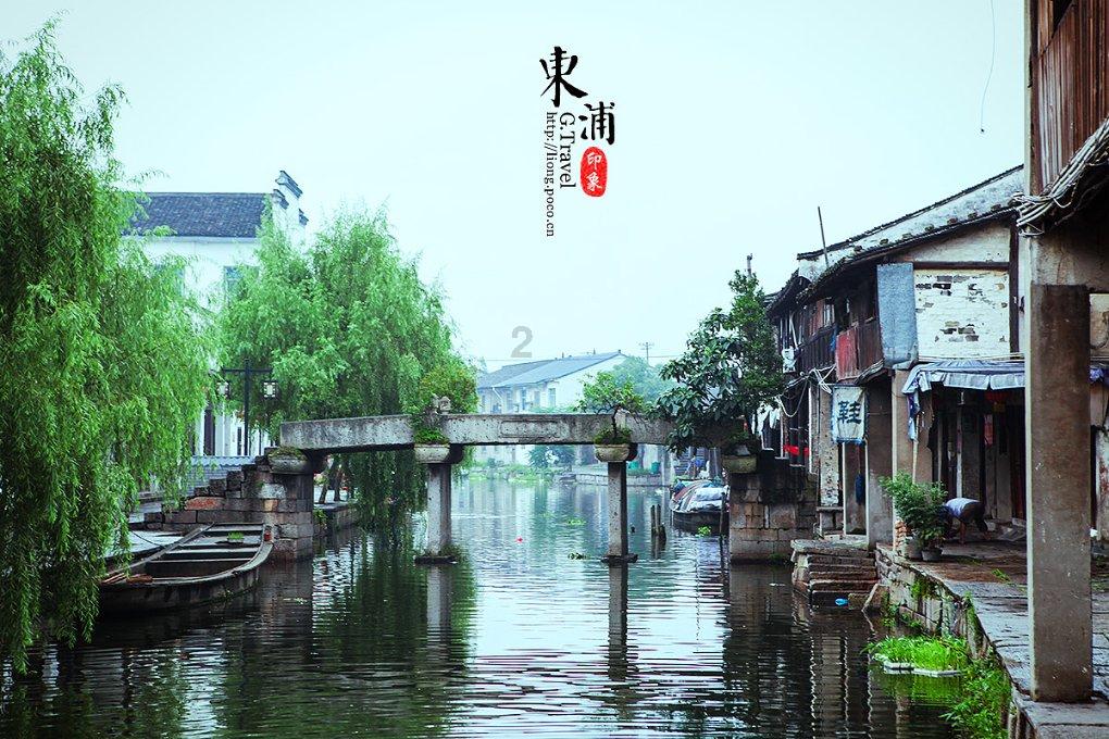 救援男孩与狗